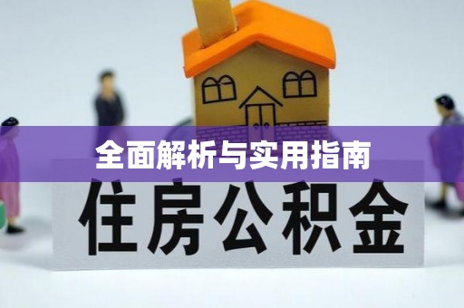 柳南全面解析与实用指南