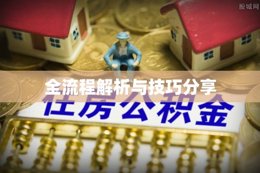 柳南全流程解析与技巧分享